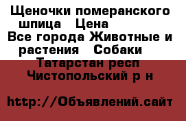 Щеночки померанского шпица › Цена ­ 25 000 - Все города Животные и растения » Собаки   . Татарстан респ.,Чистопольский р-н